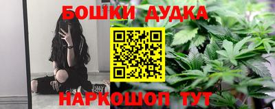 крисы Белореченск