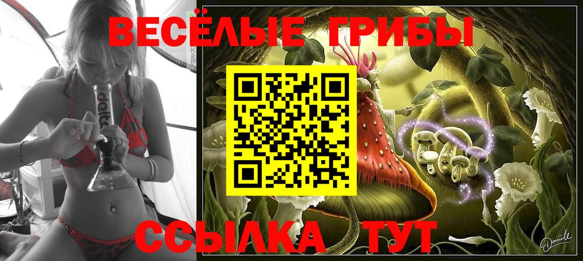 Владикавказ  Галлюциногенные грибы мицелий  Вход с VPN 